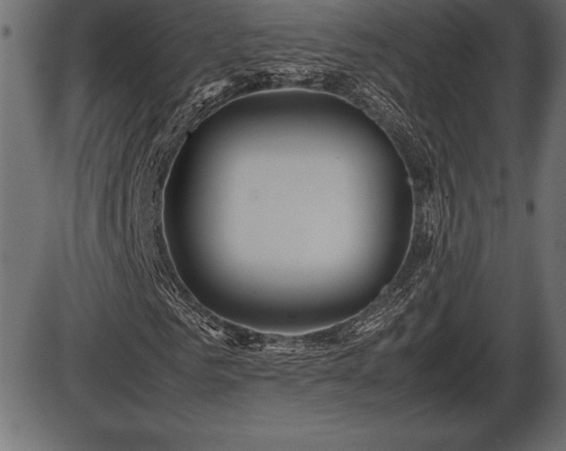 X0000086290961200704090951