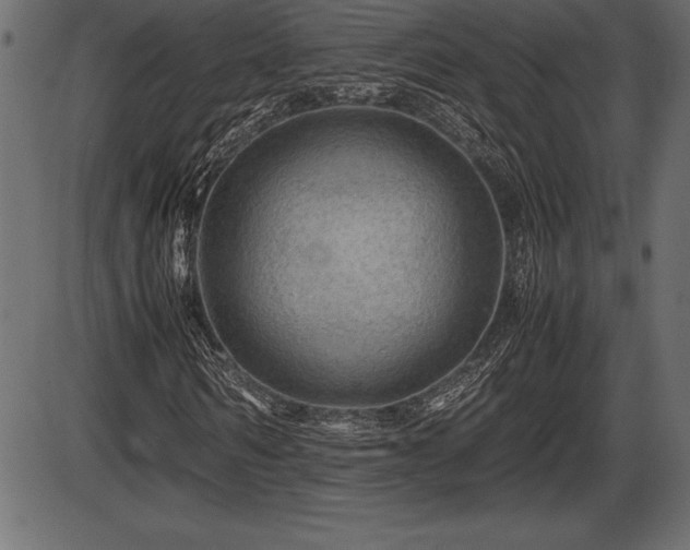 X0000086290962200704090951