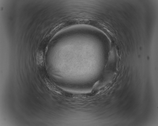 X0000086290963200704090951