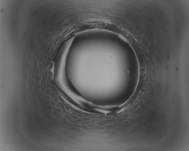 X0000086290965200704090951