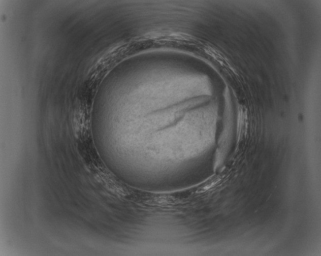 X0000086290966200704090951