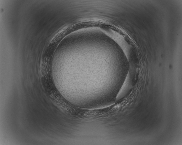 X0000086290967200704090951