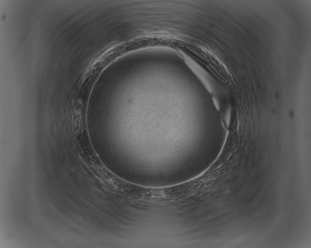 X0000086290968200704090951