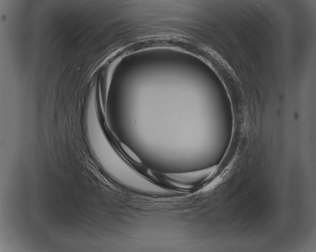 X0000086290969200704090951
