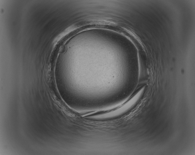 X0000086290971200704090951