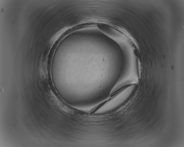 X0000086290972200704090951