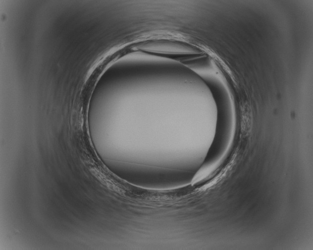 X0000086290973200704090951