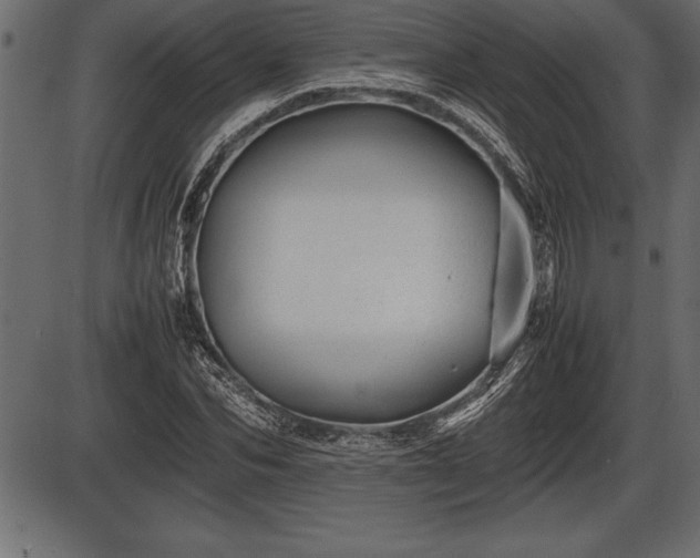 X0000086290974200704090951
