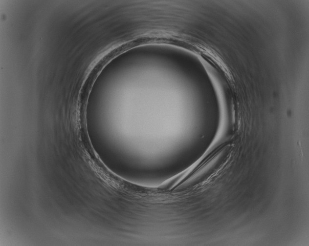 X0000086290976200704090951