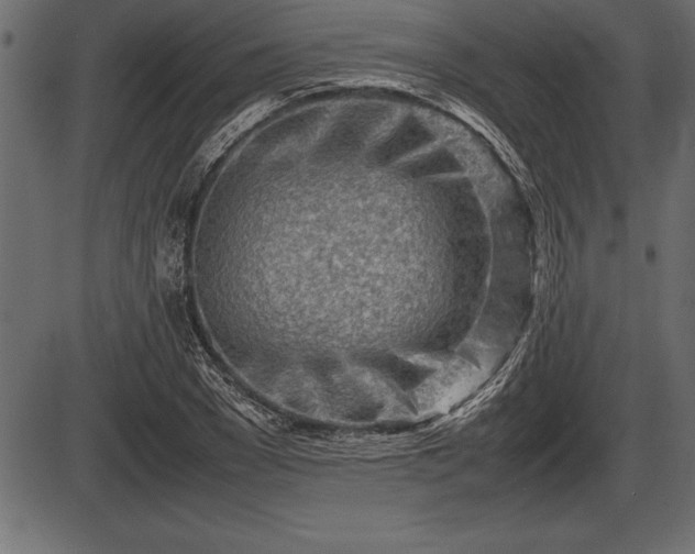X0000086290977200704090951