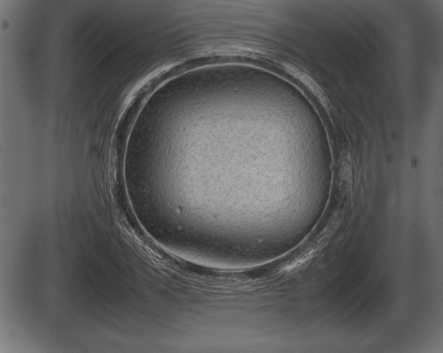 X0000086290979200704090951