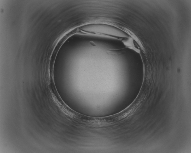X0000086290980200704090951