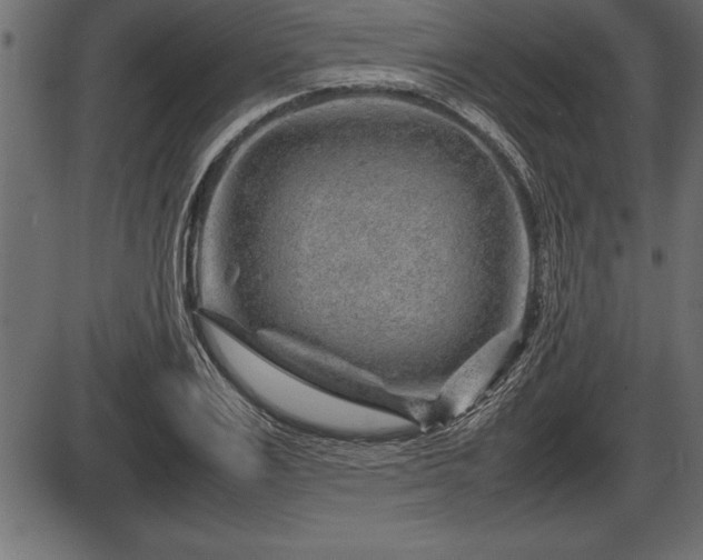 X0000086290983200704090951