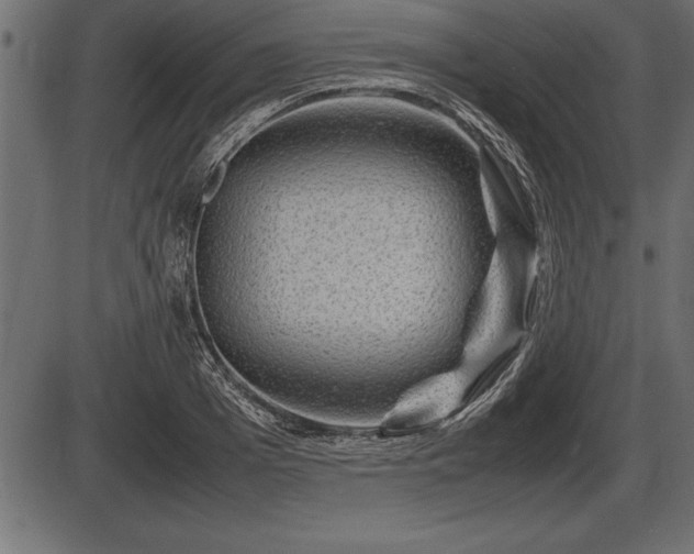 X0000086290985200704090951