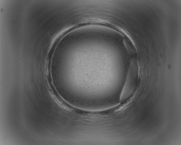X0000086290987200704090951