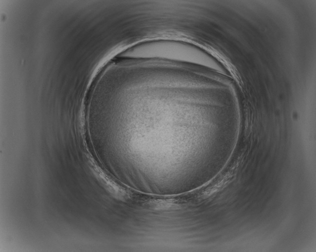 X0000086290990200704090951