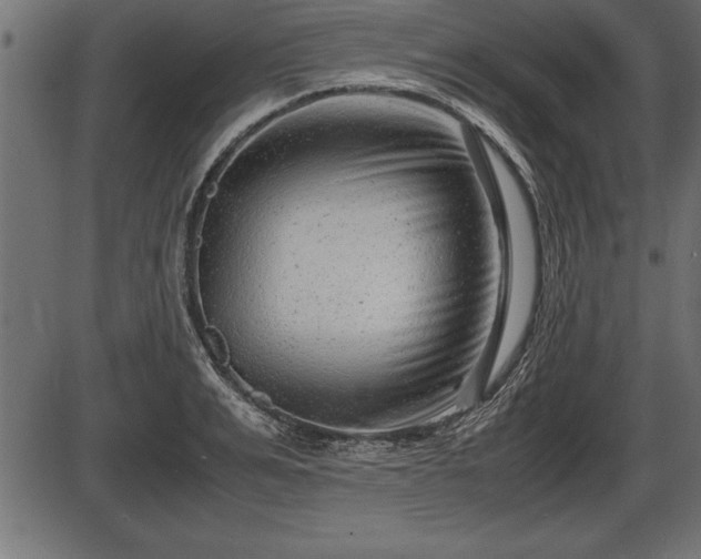 X0000086290991200704090951