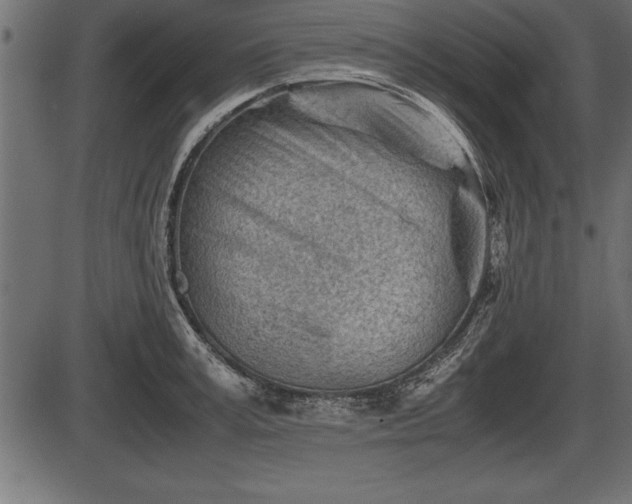 X0000086290995200704090951
