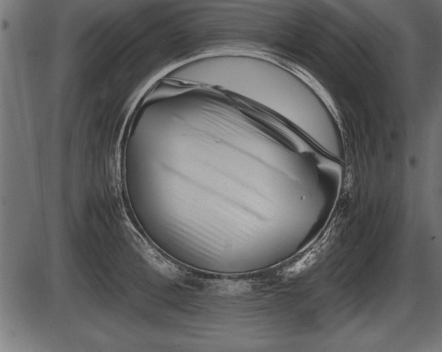 X0000086290996200704090951