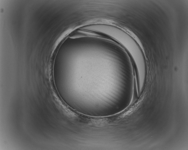 X0000086290997200704090951