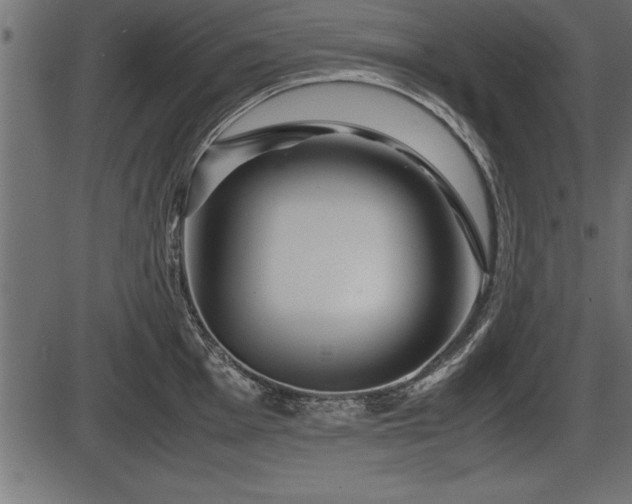 X0000086291001200704090951