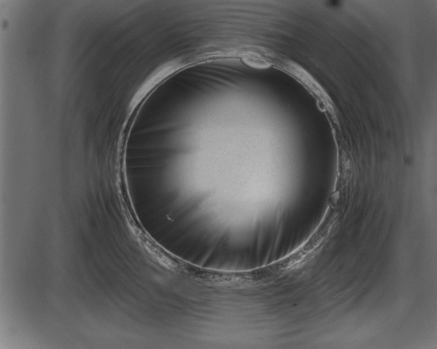 X0000086291002200704090951