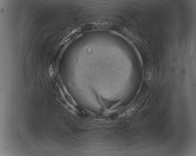X0000086291010200704090950