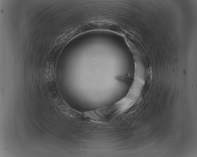 X0000086291014200704090950