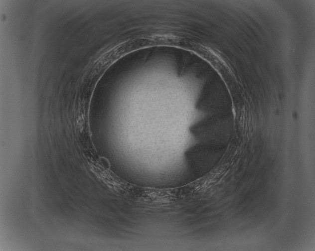 X0000086291015200704090950
