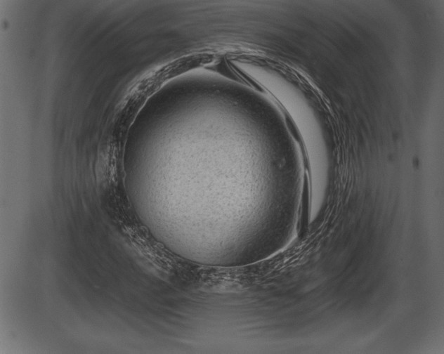 X0000086291016200704090950