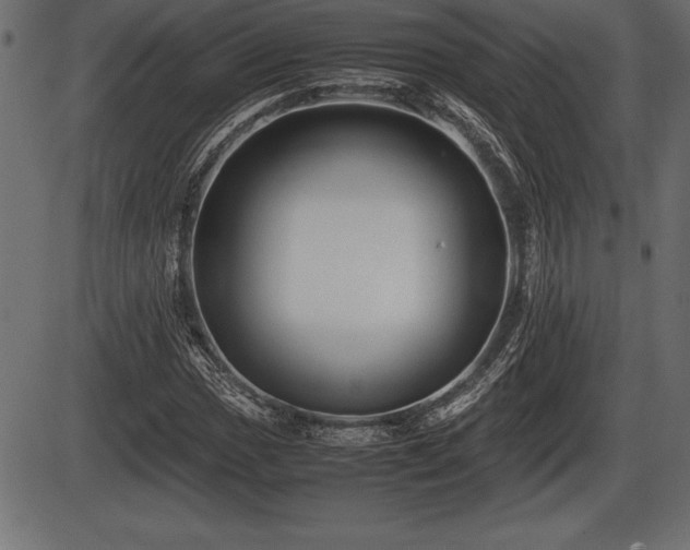 X0000086291017200704090950