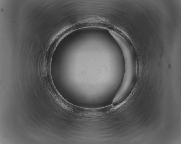 X0000086291018200704090950