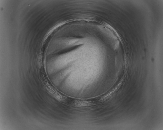 X0000086291019200704090950