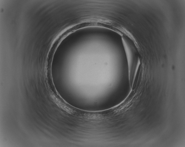 X0000086291020200704090950