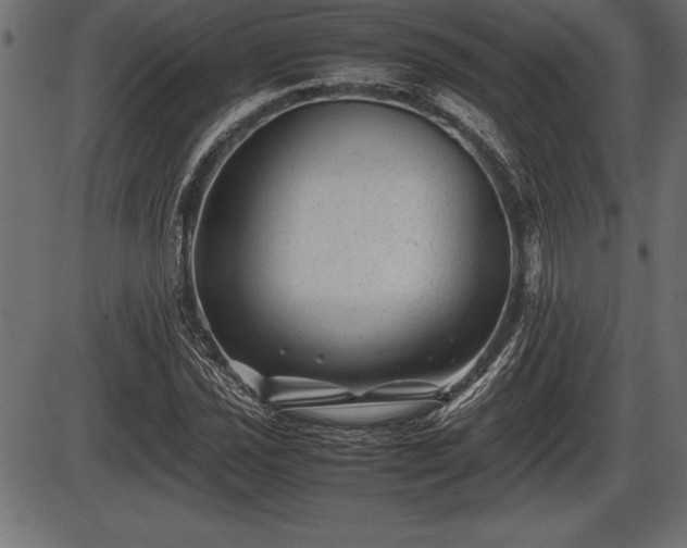 X0000086291021200704090950