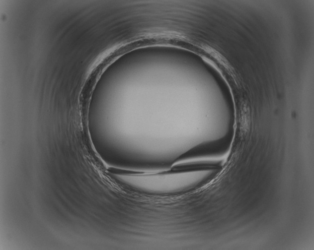 X0000086291022200704090950