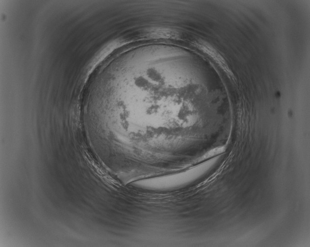 X0000086291023200704090950