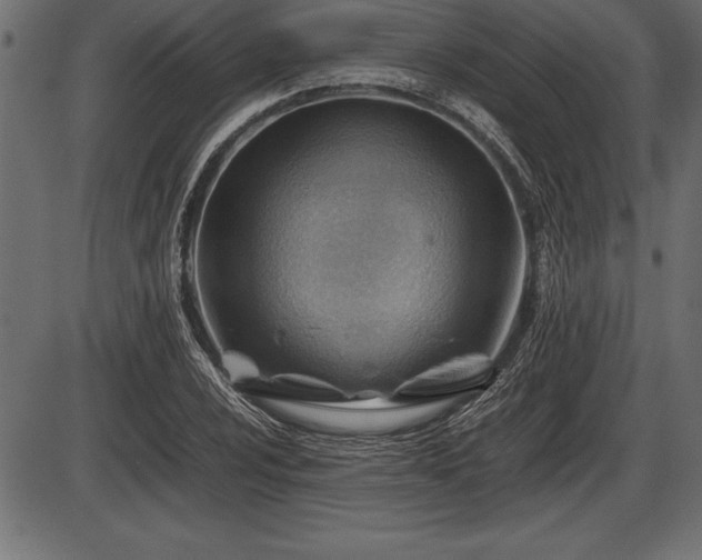 X0000086291024200704090950