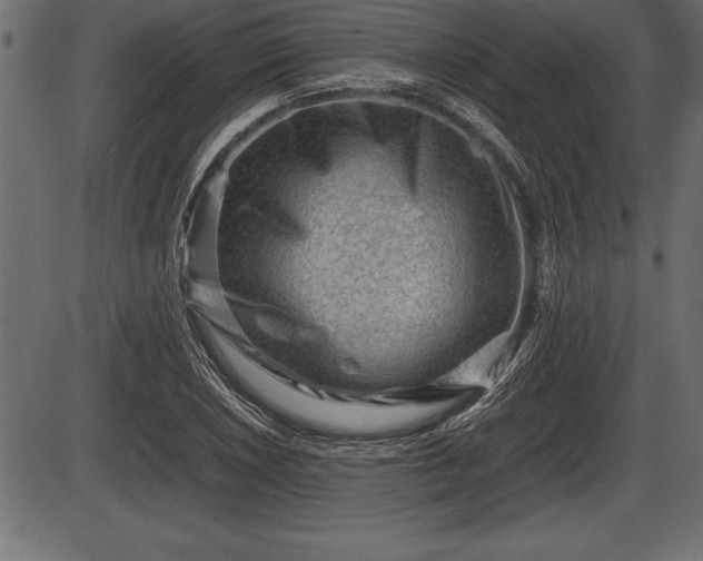 X0000086291026200704090950
