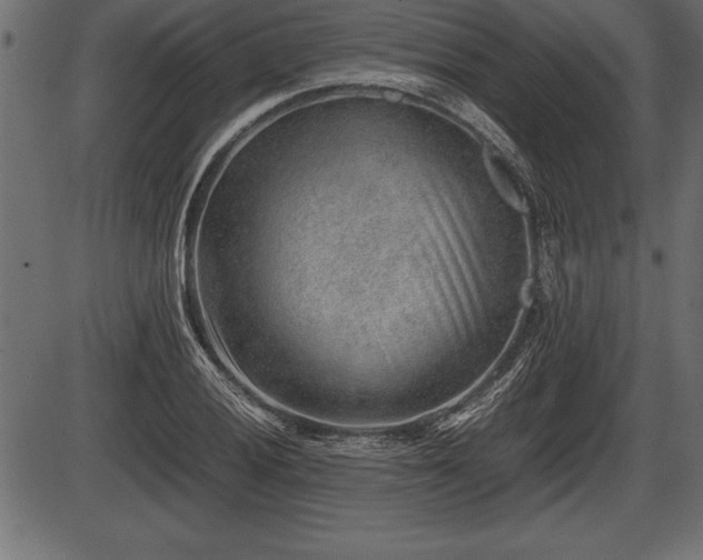 X0000086291028200704090950