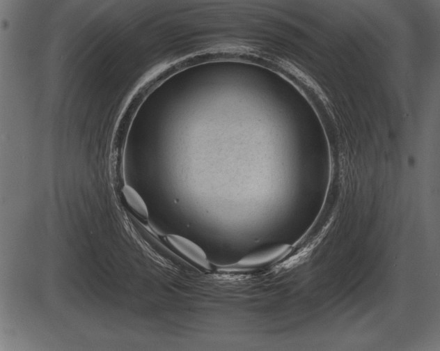 X0000086291029200704090950