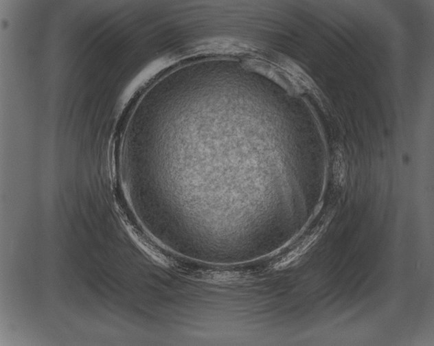 X0000086291030200704090950
