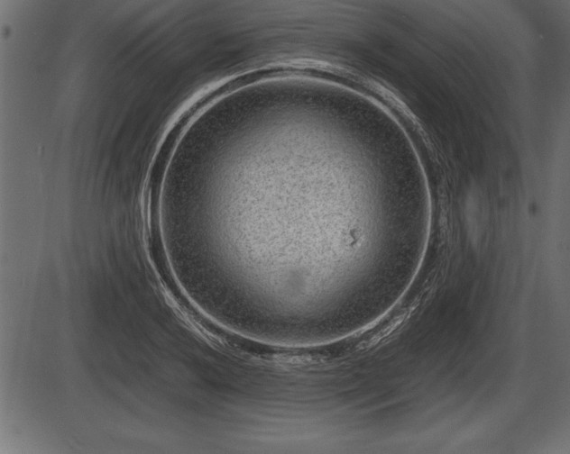 X0000086291032200704090950