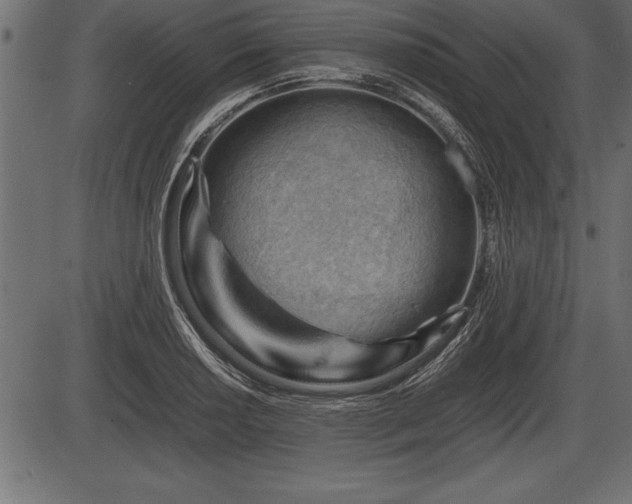 X0000086291034200704090950