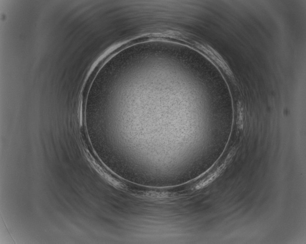 X0000086291036200704090950