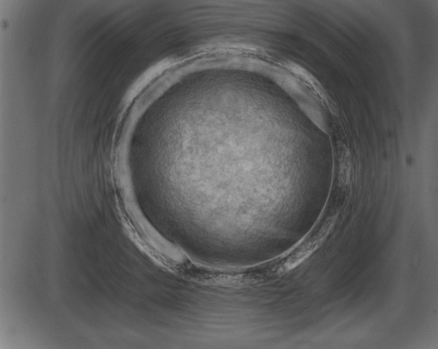X0000086291038200704090950