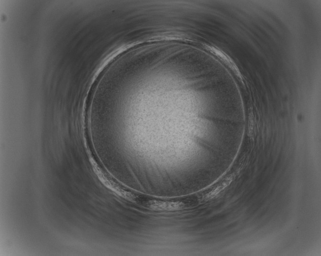 X0000086291039200704090950