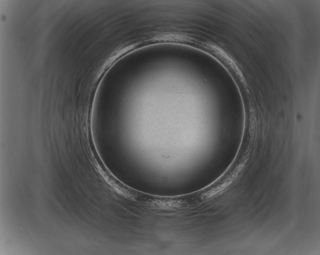 X0000086291041200704090950