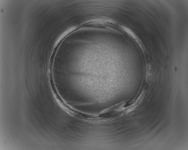 X0000086291042200704090950