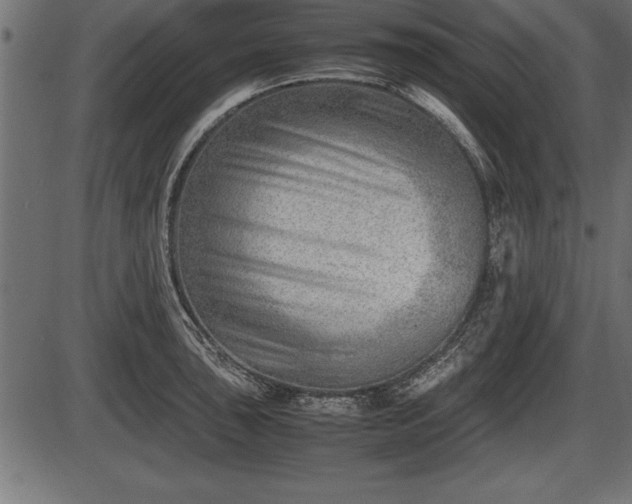 X0000086291043200704090950